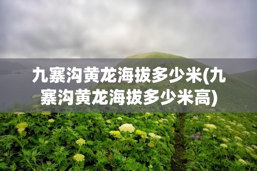 九寨沟黄龙海拔多少米(九寨沟黄龙海拔多少米高)