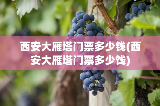 西安大雁塔门票多少钱(西安大雁塔门票多少饯)