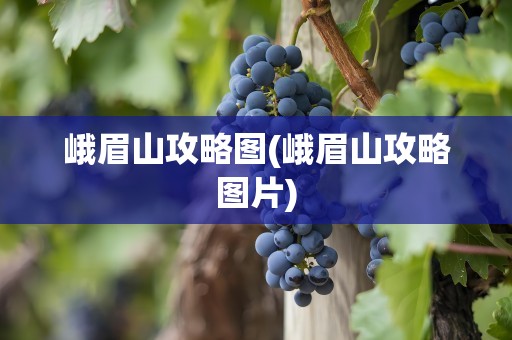 峨眉山攻略图(峨眉山攻略图片)
