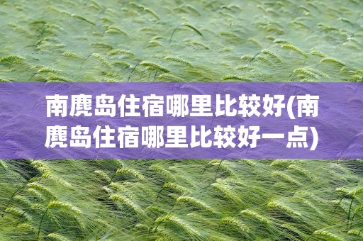南麂岛住宿哪里比较好(南麂岛住宿哪里比较好一点)