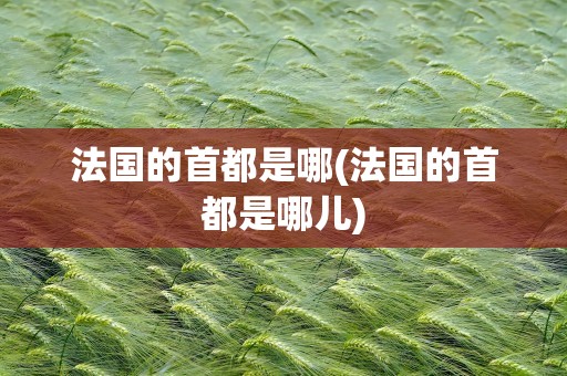 法国的首都是哪(法国的首都是哪儿)