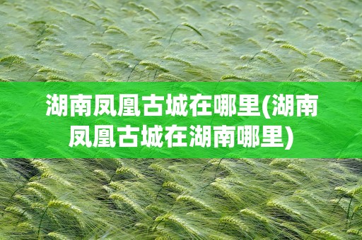 湖南凤凰古城在哪里(湖南凤凰古城在湖南哪里)