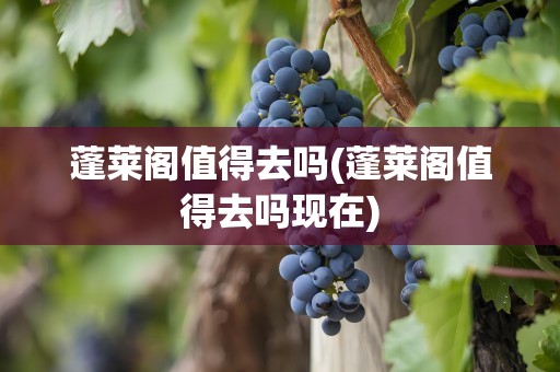 蓬莱阁值得去吗(蓬莱阁值得去吗现在)