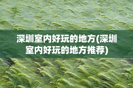深圳室内好玩的地方(深圳室内好玩的地方推荐)