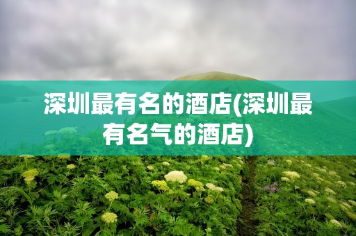 深圳最有名的酒店(深圳最有名气的酒店)
