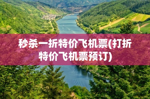秒杀一折特价飞机票(打折特价飞机票预订)