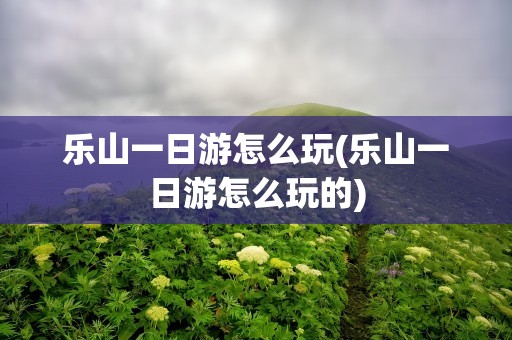 乐山一日游怎么玩(乐山一日游怎么玩的)