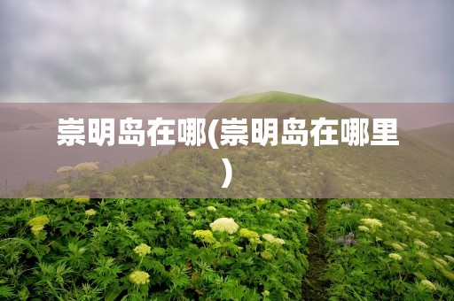 崇明岛在哪(崇明岛在哪里)