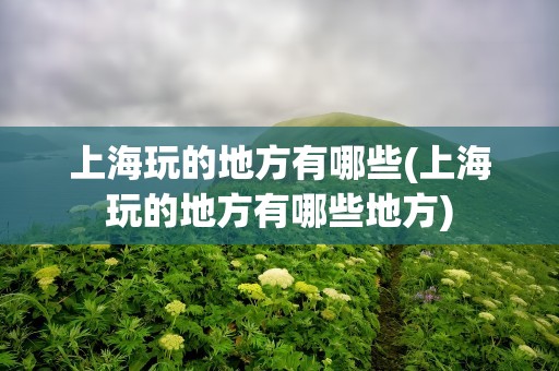 上海玩的地方有哪些(上海玩的地方有哪些地方)
