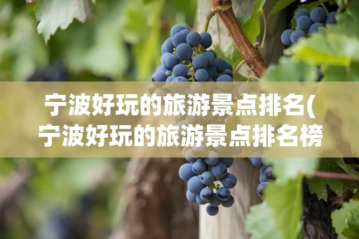 宁波好玩的旅游景点排名(宁波好玩的旅游景点排名榜)