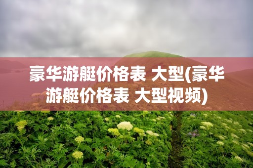 豪华游艇价格表 大型(豪华游艇价格表 大型视频)