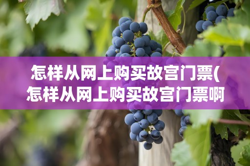 怎样从网上购买故宫门票(怎样从网上购买故宫门票啊)