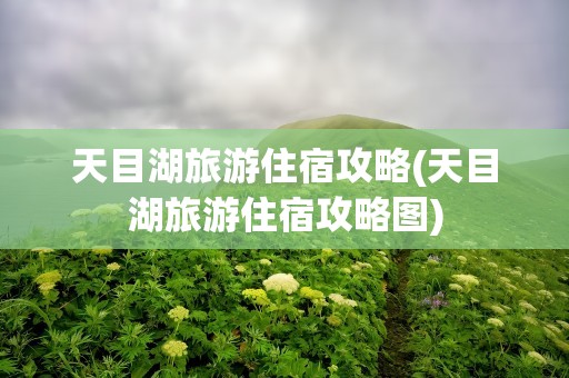 天目湖旅游住宿攻略(天目湖旅游住宿攻略图)