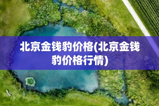 北京金钱豹价格(北京金钱豹价格行情)