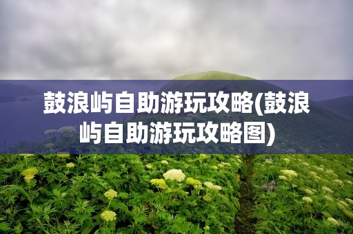 鼓浪屿自助游玩攻略(鼓浪屿自助游玩攻略图)