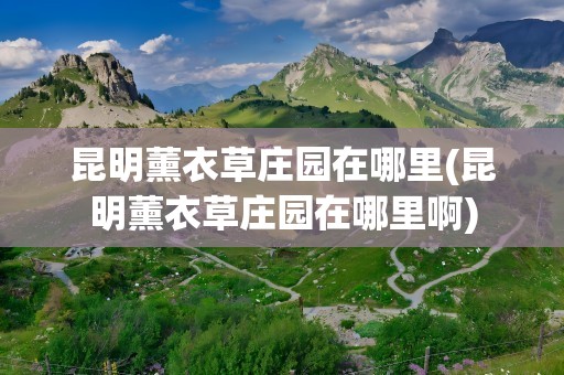 昆明薰衣草庄园在哪里(昆明薰衣草庄园在哪里啊)