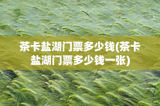 茶卡盐湖门票多少钱(茶卡盐湖门票多少钱一张)