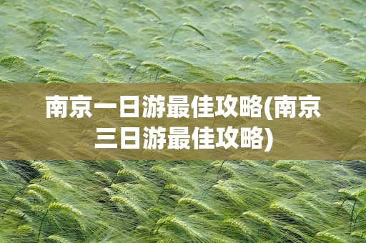 南京一日游最佳攻略(南京三日游最佳攻略)