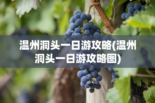 温州洞头一日游攻略(温州洞头一日游攻略图)