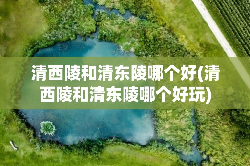 清西陵和清东陵哪个好(清西陵和清东陵哪个好玩)