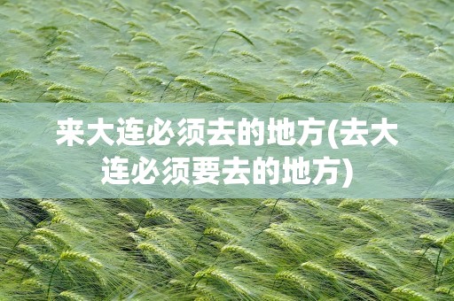 来大连必须去的地方(去大连必须要去的地方)