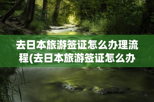 去日本旅游签证怎么办理流程(去日本旅游签证怎么办理流程图)