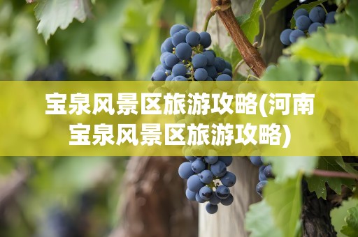 宝泉风景区旅游攻略(河南宝泉风景区旅游攻略)