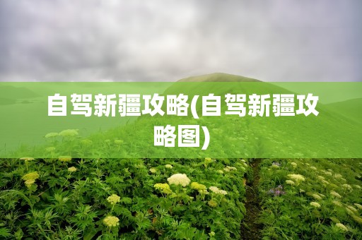 自驾新疆攻略(自驾新疆攻略图)