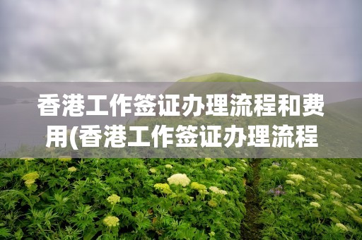 香港工作签证办理流程和费用(香港工作签证办理流程和费用中介)
