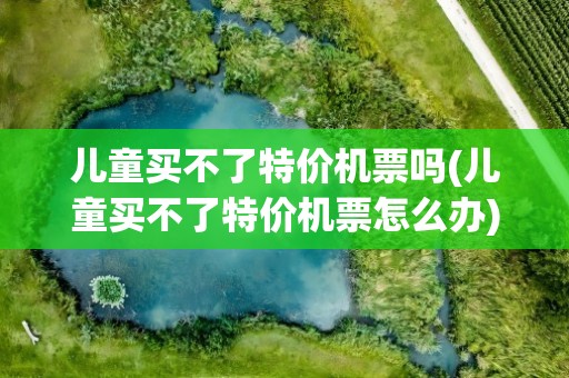 儿童买不了特价机票吗(儿童买不了特价机票怎么办)