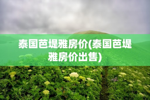 泰国芭堤雅房价(泰国芭堤雅房价出售)