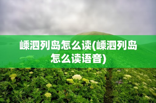 嵊泗列岛怎么读(嵊泗列岛怎么读语音)