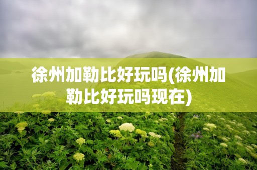 徐州加勒比好玩吗(徐州加勒比好玩吗现在)
