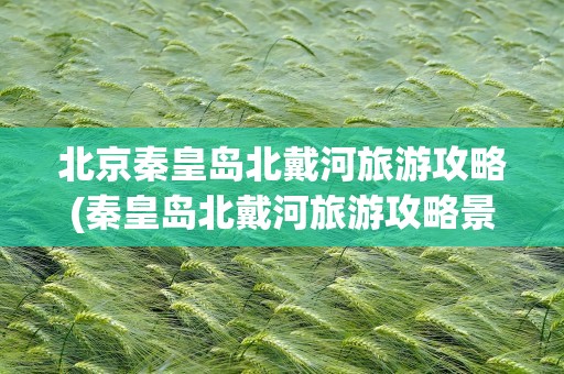 北京秦皇岛北戴河旅游攻略(秦皇岛北戴河旅游攻略景点)
