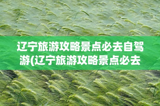 辽宁旅游攻略景点必去自驾游(辽宁旅游攻略景点必去自驾游路线)