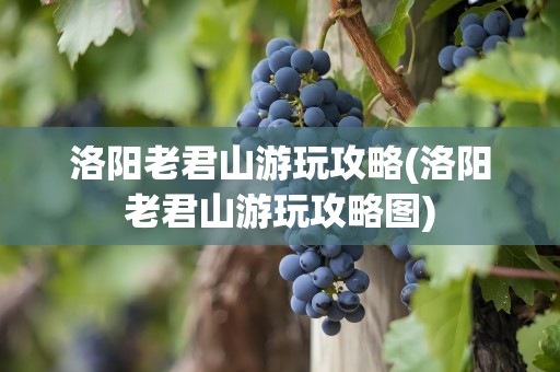 洛阳老君山游玩攻略(洛阳老君山游玩攻略图)