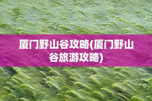 厦门野山谷攻略(厦门野山谷旅游攻略)