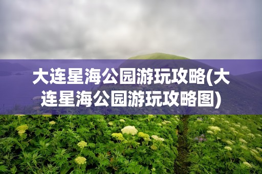 大连星海公园游玩攻略(大连星海公园游玩攻略图)