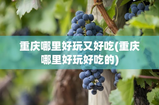 重庆哪里好玩又好吃(重庆哪里好玩好吃的)