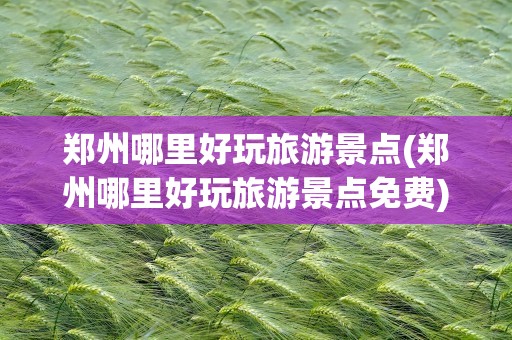 郑州哪里好玩旅游景点(郑州哪里好玩旅游景点免费)