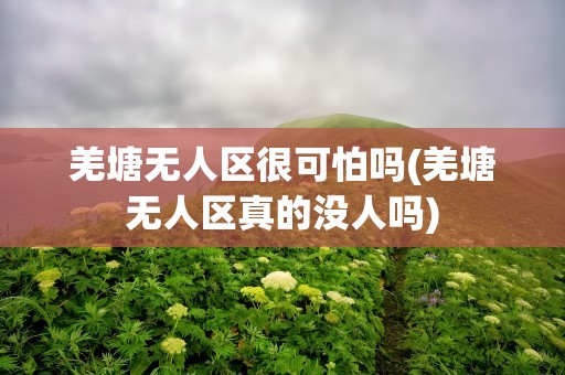 羌塘无人区很可怕吗(羌塘无人区真的没人吗)