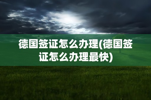 德国签证怎么办理(德国签证怎么办理最快)