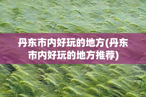 丹东市内好玩的地方(丹东市内好玩的地方推荐)