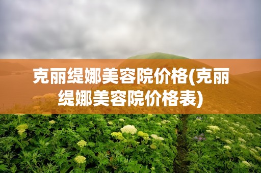 克丽缇娜美容院价格(克丽缇娜美容院价格表)