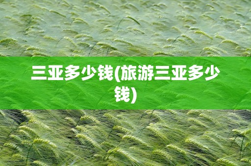 三亚多少钱(旅游三亚多少钱)