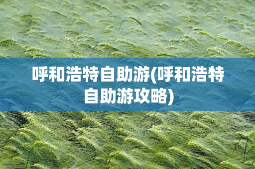 呼和浩特自助游(呼和浩特自助游攻略)