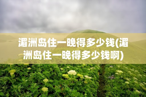 湄洲岛住一晚得多少钱(湄洲岛住一晚得多少钱啊)