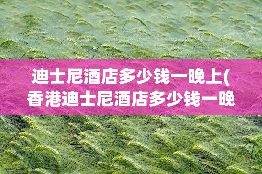 迪士尼酒店多少钱一晚上(香港迪士尼酒店多少钱一晚上)