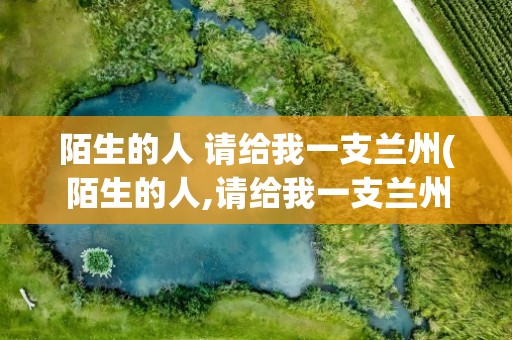 陌生的人 请给我一支兰州(陌生的人,请给我一支兰州)