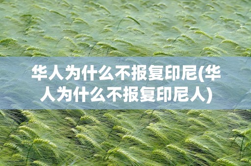 华人为什么不报复印尼(华人为什么不报复印尼人)